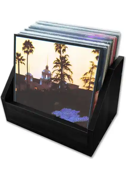 Çıtırtılı Sesler LP Plak Kasası Açık: Estetik ve Fonksiyonellik Bir Arada