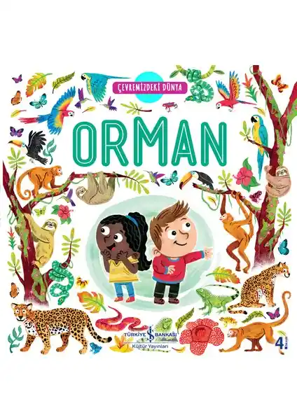 Çocuklar İçin Doğa ve Hayvanlar Dünyasını Tanıtan Eğitici Kitap: Orman - Çevremizdeki Dünya