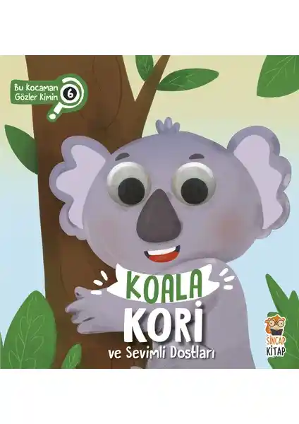 Çocuklar İçin Eğlenceli ve Eğitici Koala Kori Hikayeleri Serisi İncelemesi