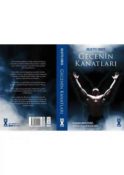 Gecenin Kanatları: Fantastik ve Romantik Unsurlarla Dolu Modern Edebiyat Eseri