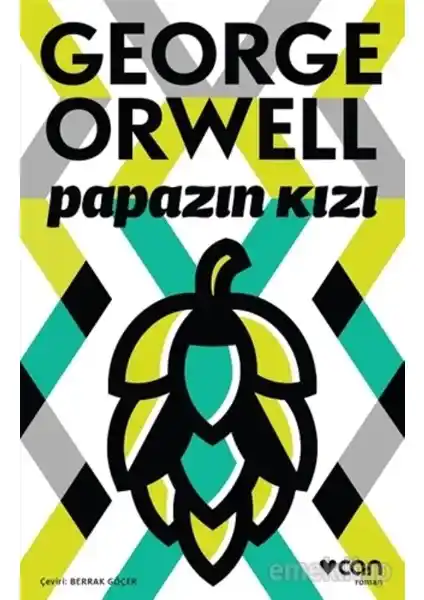 George Orwell’in Papazın Kızı Romanı Türkçe Çeviri ve Sosyal Temalar Üzerine Analiz