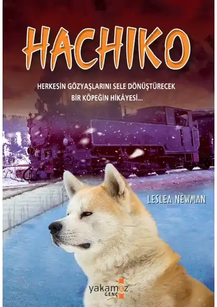 Hachiko Hikayesi Sadakat ve Sevginin Evrensel Gücü Üzerine Derin Bir Anlam Taşıyor