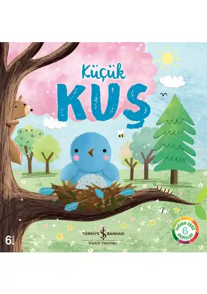 Küçük Kuş - Suzanne Fossey tarafından yazılan eğitici ve görsellerle zenginleştirilmiş çocuk kitabı