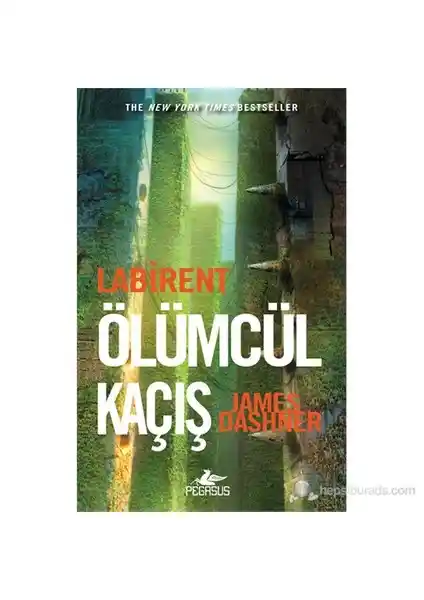 Labirent - Ölümcül Kaçış: Distopik Gerilim ve Macera Dolu Roman