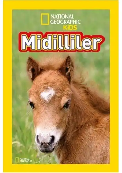 National Geographic Kids Midilliler Çocuklar İçin Eğitici ve Görsel Zengin Türkçe Kitap