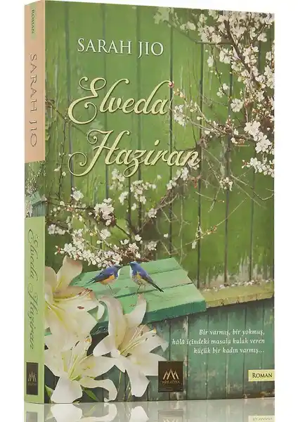 Sarah Jio'nun Eserleri ve Yazarlık Kariyeri Hakkında Kapsamlı Bilgi