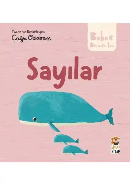 Sincap Kitap Bebek Üniversitesi: Sayılar Öğretici ve Eğlenceli Çocuk Kitabı