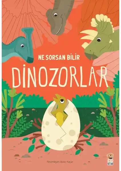Sincap Kitap Ne Sorsan Bilir Dinozorlar: Çocuklar İçin Eğitici ve Eğlenceli Bir Keşif Kitabı