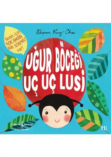 Uğur Böceği Uç Uç Lusi: Çocuklara Farklılık ve Kendini Tanıma Temalı Eğitici Hikaye