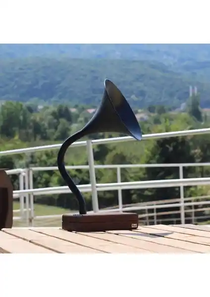 Vune Concept Deju Akustik Gramofon Siyah: Şık Tasarım ve Yüksek Ses Kalitesi