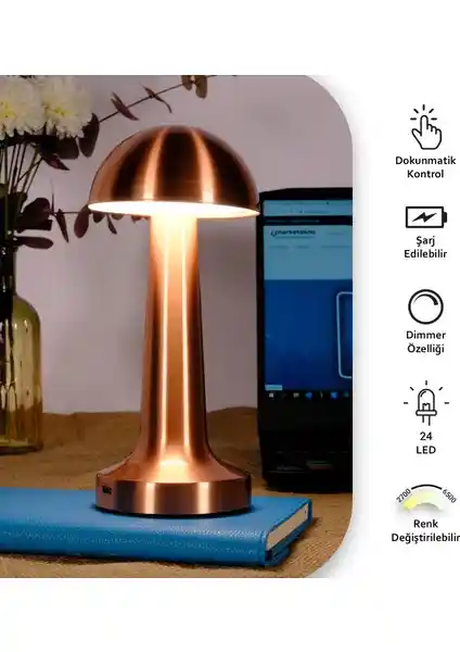 Ack Şarjlı ve Neo Vista Masa Lambaları Karşılaştırması: Özellikleri ve Kullanıcı Yorumları