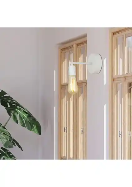 Apliqa Binay ve Esila Duvar Lambası Karşılaştırması ve Dekorasyon İpuçları