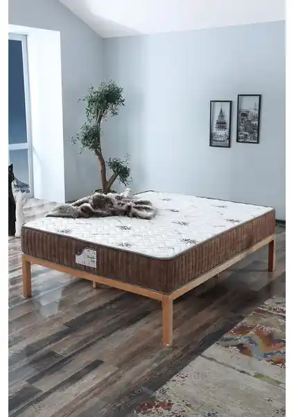 Asroyallüks ve US Sleeping Yatakları Karşılaştırması: Hangi Yatak Sizin İçin Uygun