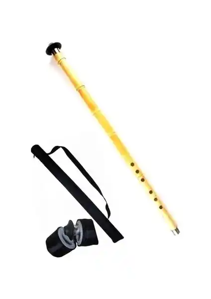 Ayın Müzik Profesyonel Kâmiş Ney Si + Kılıf: Yüksek Kaliteli ve Dayanıklı Enstrüman Seçeneği