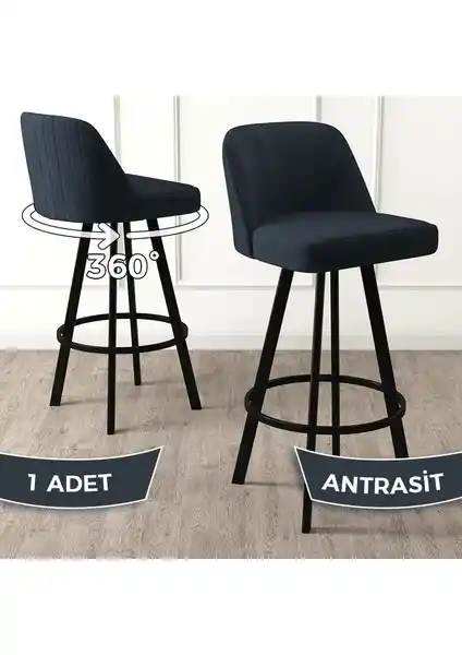 Canisa Concept Atex ve Tera Serisi Bar Sandalyeleri Karşılaştırması