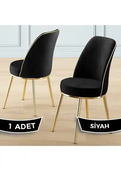 Canisa Pefa Serisi Metal Ayaklı Mutfak Sandalyeleri Karşılaştırması