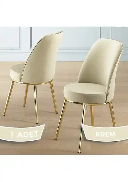 Canisa Pefa Serisi Sandalyelerin Gold ve Krom Kaplama Modellerinin Detaylı Karşılaştırması