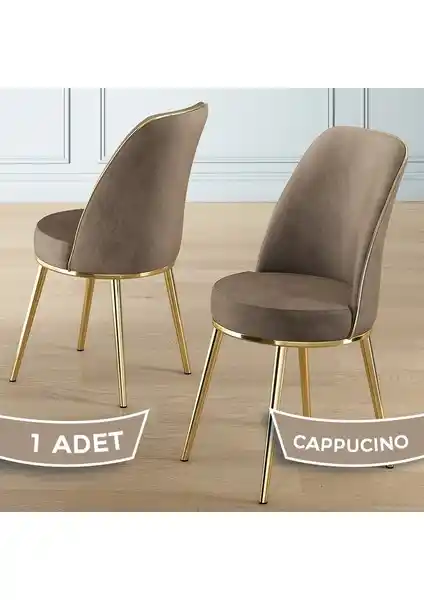 Canisa Pefa Serisi Sandalyelerin Gold ve Krom Kaplama Modellerinin Karşılaştırması