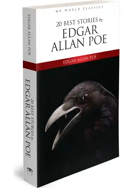 Edgar Allan Poe'nun En İyi 20 Hikayesiyle Klasik Edebiyatın Derinliklerine Yolculuk