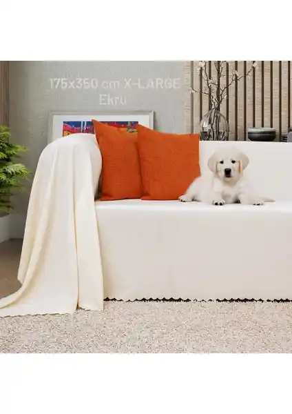 Koltuk Örtüsü Karşılaştırması: Latuda Concept ve Velerde Home Ürünleri Analizi