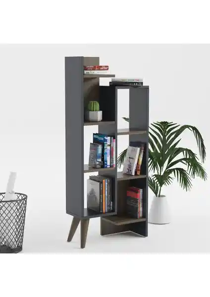 Lagomood Kitaplık Karşılaştırması: Evren ve Vito Modellerinin Özellikleri ve Farkları