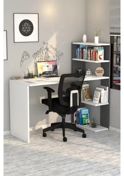 Moonlife Çınar ve Diamond Çalışma Masası Karşılaştırması Hangi Model Daha Uygun