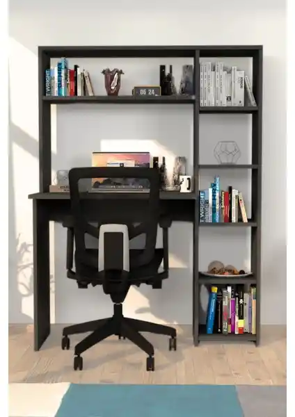 Moonlife Duru ve Hipo Çalışma Masaları Karşılaştırması: Tasarım ve İşlevsellik Analizi