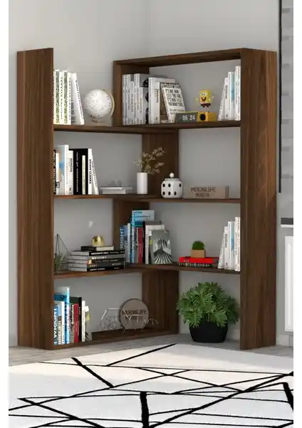 Moonlife Kitaplık Karşılaştırması: Pisagor ve Paris Modellerinin Özellikleri ve Kullanıcı Yorumları