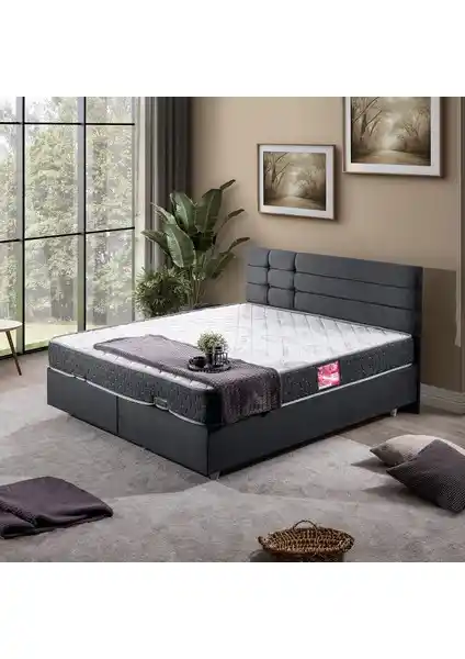 Setay Viyana ve Yataş Bedding Nano Başlık Somni Baza Setleri Karşılaştırması