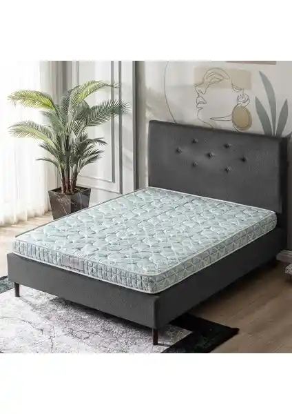 US. Sleeping Dr. Therapy ve Yatakcım Konfor Plus Ultra Yatak Karşılaştırması