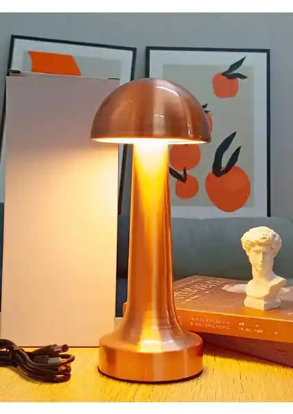 Uzm Light Cata CT-8430 ve Neo Vista Mantar Model Karşılaştırması: Tasarım ve Fonksiyonellik Analizi