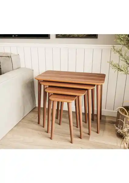 Bahçe Kadın Girişimci Dörtlü Zigon Sehpa ile Aleyna 5'li Sehpa Seti Karşılaştırması