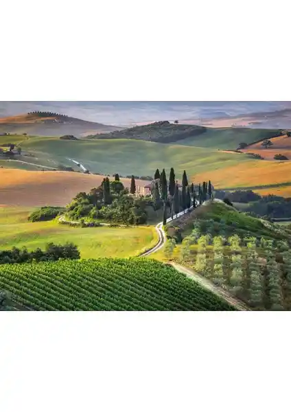 Clementoni 1000 Parça Yetişkin Puzzle Toscana Manzaraları High Quality