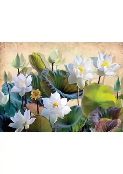 Nova Puzzle 1000 Parça Beyaz Nilüfer Çiçekleri Puzzle Türkiye Üretimi Doğa Teması