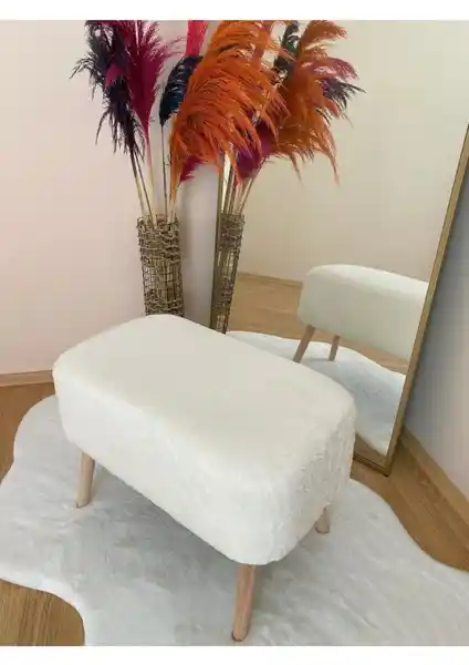 Bounteous Ahşap Ayaklı Dikdörtgen ve Own Home Teddy Kumaş Oval Puf Karşılaştırması