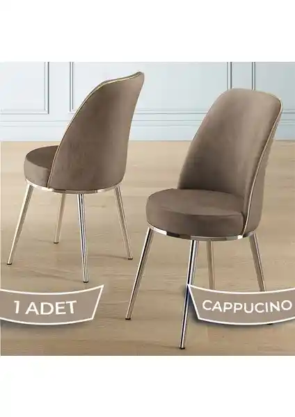 Canisa Pefa Serisi Modern Mutfak ve Oturma Alanları İçin Şık Sandalye Modeli