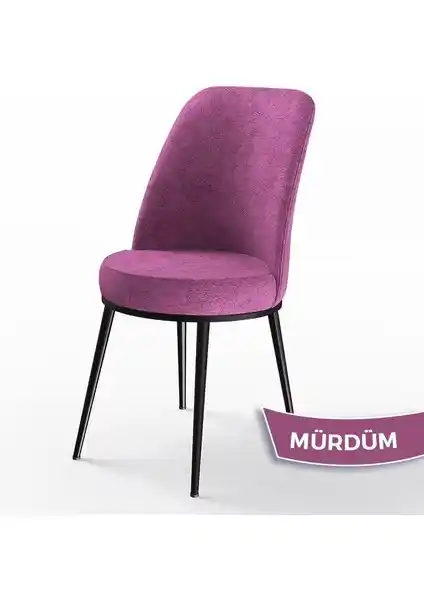 Canisa Concept Dexa ve Lumodi Elma Keten Mutfak Sandalyeleri Karşılaştırması ve Özellikleri