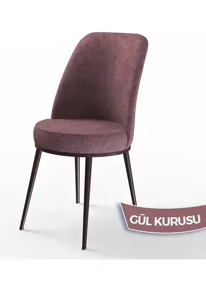 Canisa Dexa ve Lumodi Elma Keten Mutfak Sandalyeleri Karşılaştırması ve Özellikleri