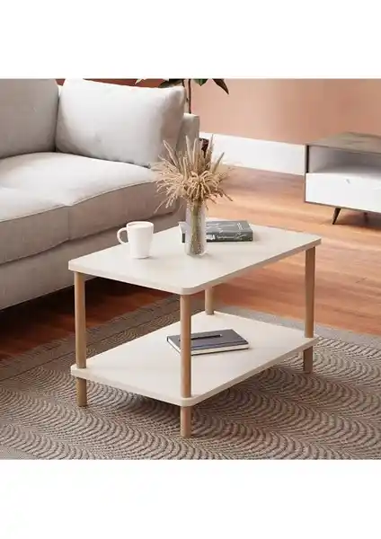 İntergo Marka Orta Sehpa Modellerinin Detaylı Karşılaştırması ve Özellikleri