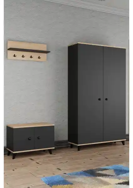 Aeka AE-1075 Poli Antrasit Vestiyer Takımı Modern ve İşlevsel Depolama Çözümü