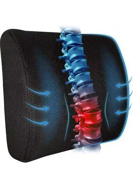 Akselife Visco Ortopedik Bel Sırt Minderi: Ergonomik Destek ve Rahatlatıcı Oturma Çözümü