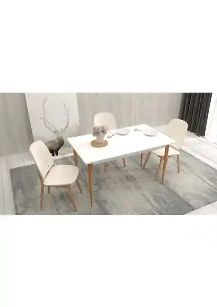 Ankara Mobilya Karya Beyaz 120x67 cm Mutfak Masası - Şık ve Dayanıklı Tasarım