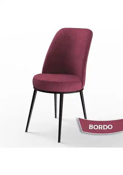 Canisa Concept DEXA Serisi Mutfak Sandalyesi Modern Tasarım ve Yüksek Dayanıklılık