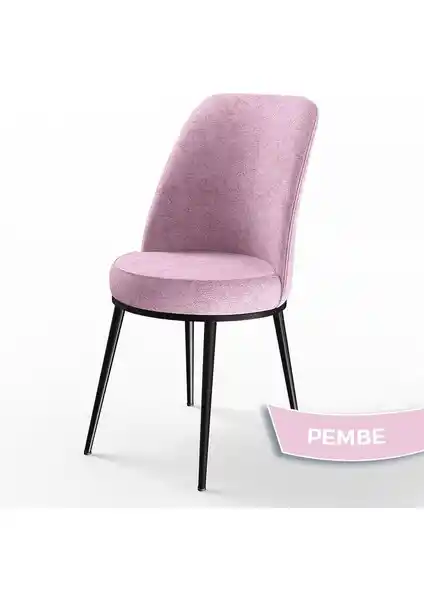 Canisa Concept DEXA Serisi Mutfak ve Oturma Alanları İçin Modern Dayanıklı Sandalye