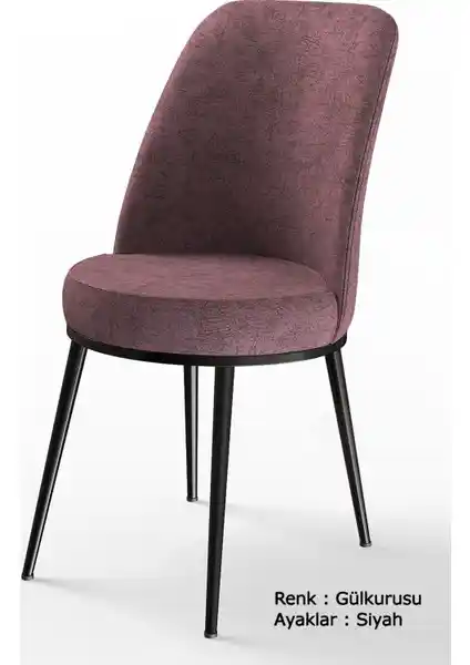 Canisa Concept Dexa Serisi Sandalye: Modern ve Şık Oturma Çözümü