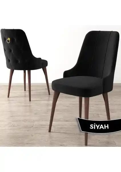 Canisa Concept Enoa Serisi Ceviz Renkli Modern ve Dayanıklı Ayaklı Sandalye Özellikleri