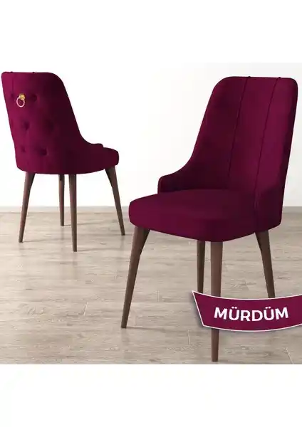 Canisa Concept Enoa Serisi Modern Ahşap ve Metal Oturma Sandalyesi 240 kg taşıma kapasitesi