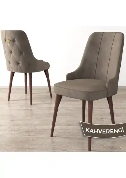 Canisa Concept Enoa Serisi Modern ve Konforlu Oturma Sandalyesi Tasarımı ve Özellikleri