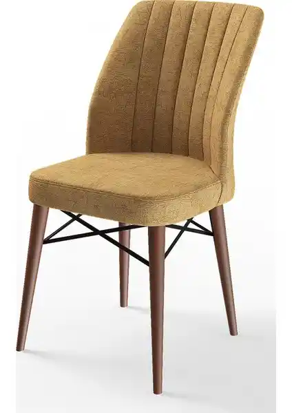 Canisa Concept Flex Serisi Gürgen Ayaklı 1. Sınıf Sandalye Modern Tasarım ve Dayanıklılık