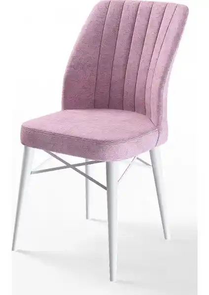 Canisa Concept Flex Serisi Gürgen Ayaklı Modern Sandalyeler Detaylı İnceleme ve Özellikler